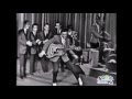 Elvis Presley Hound Dog 60 Year