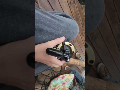 Shimano TLD 25 Full Review #fyp #trending #fishing #shimano #fish