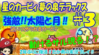 #3 【実況プレイ】星のカービィ夢の泉デラックスを全力で楽しむ！！