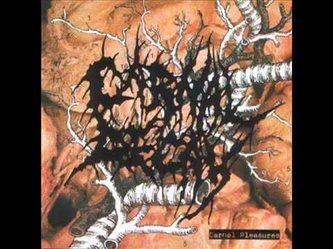 CARNAL DECAY - Molesting the dead