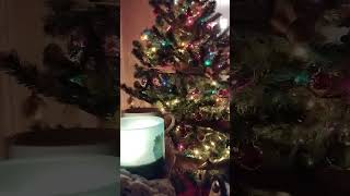 Decorating my tree 🎄 Christmas Is Now Drawing Near At Hand - Steve Winwood 2
