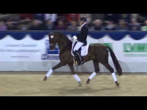 FIDERDANCE DfH., geb. 2009 v. Fidertanz x Don Schufro - Sandro Hit