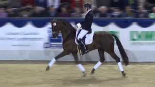 Video von Fiderdance