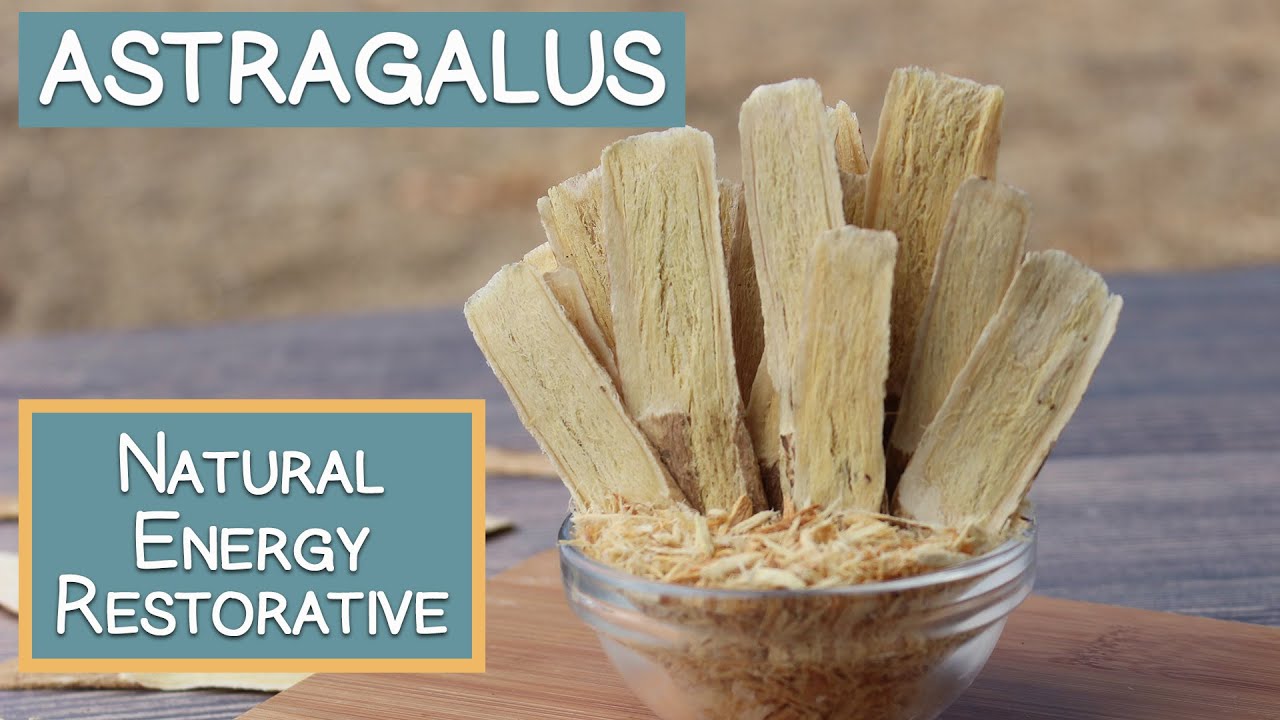 Astragalus Root, Top Natural Energy Restorative