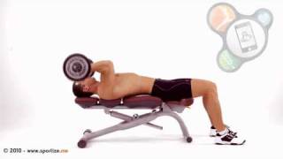 French press lying on bench with Z bar