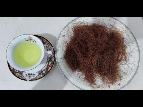 Chá do cabelo de milho e seus benefícios