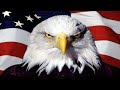 1 Hour Of Bald Eagle Screams