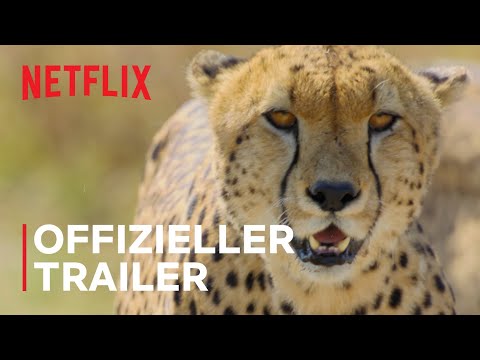 Trailer-Vorschau: Das Tier