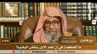 صورة 2159 - ما الحكمة في أن لحم الإبل ينقض الوضوء؟ - الشيخ صالح الفوزان