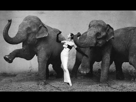 AVEDON FASHION 1944-2000 - RICHARD AVEDON BOOK