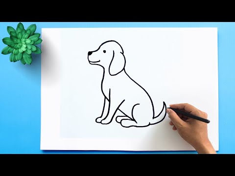 How to Draw a Dog Step by Step 🐕