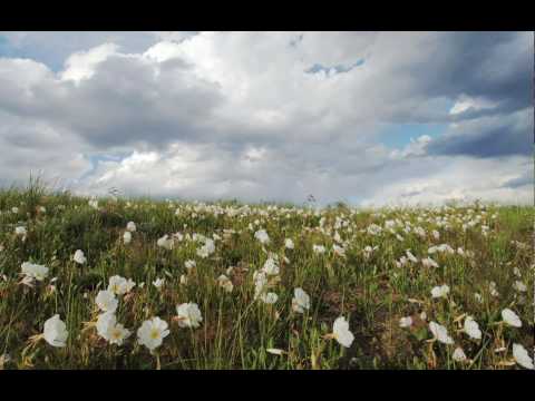 image-Why is it called the High Plains?