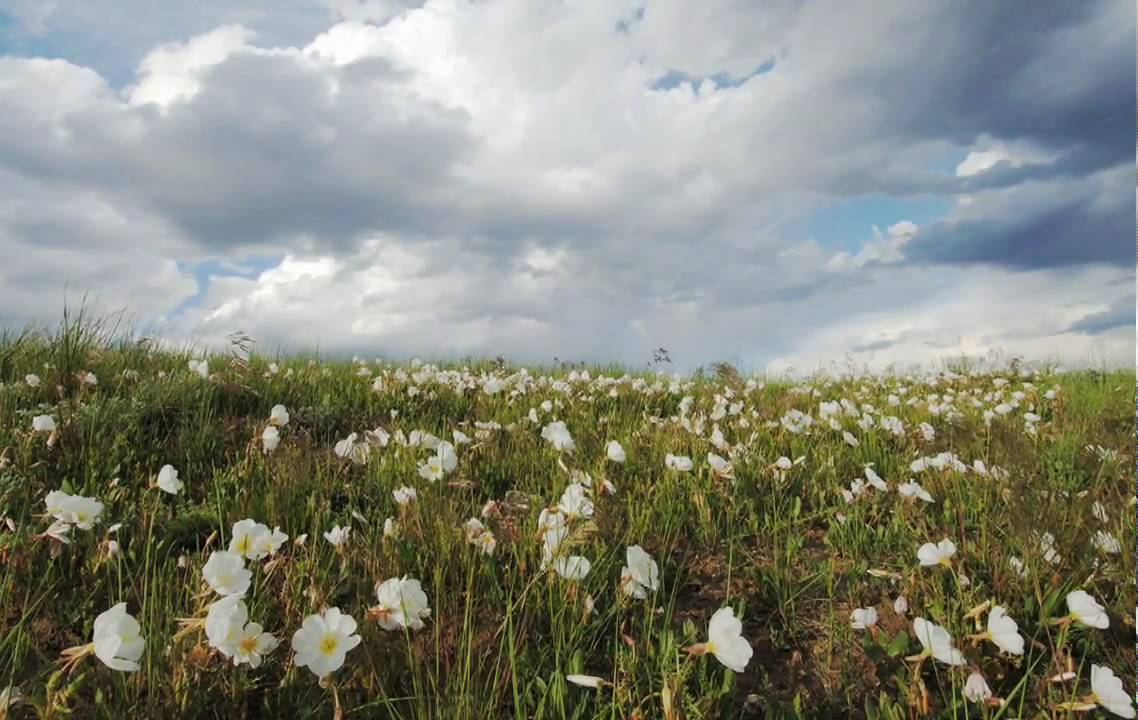 Discover America's heartland, the Great Plains