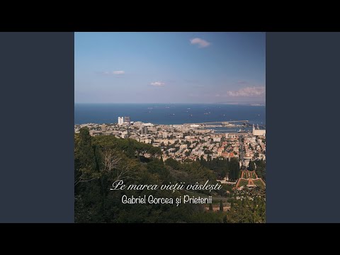 Pe marea vieții vâslești