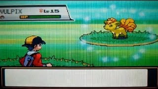 preview picture of video 'LIVE! Shiny Vulpix after 4,938 RE's! (Soul Silver)'