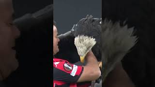 Download lagu Watch out for the sprinklers 💦 mp3 Download lagu Watch out for the sprinklers 💦 mp3