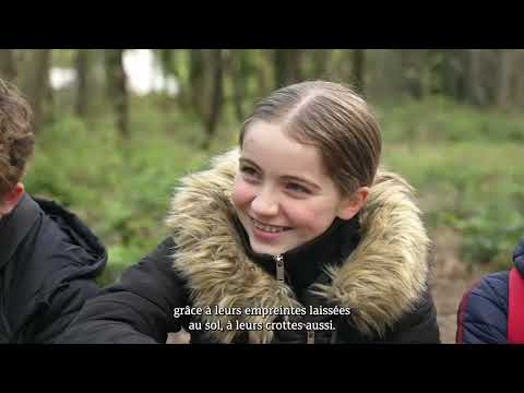 VidÃ©o du sÃ©jour