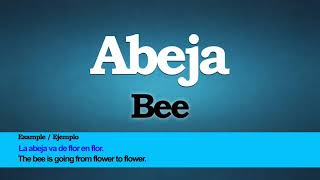 How to pronounce Bee in Spanish. Cómo pronunciar Abeja.