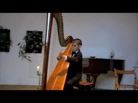 H.Renie - "Au Bord du Ruisseau" ("By brook"). A. Andrushchenko - 10 years harpist