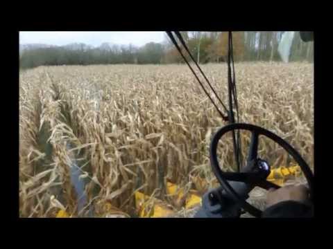 Van Mulders mais dorsen