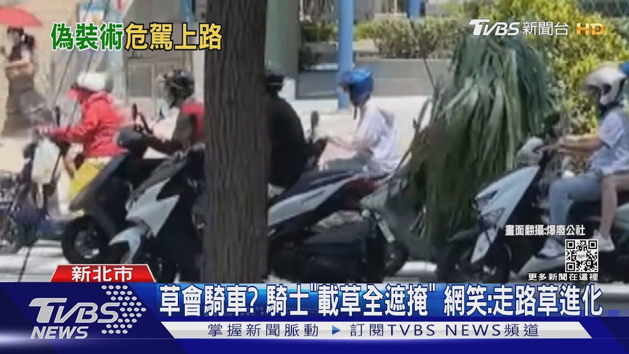 草會騎車?騎士「載草全遮掩」 網笑:走路草進化