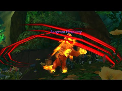 9.2 Feral Druid PvP Guide