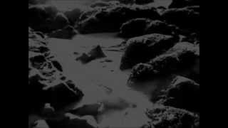 Sopor Aeternus - There Was A Country By Sea - Subtitulos español