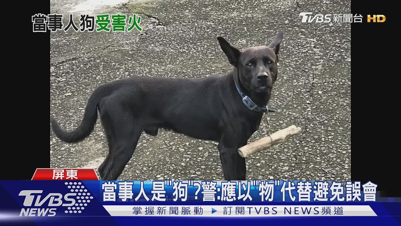 警察養的狗飛撲害摔 騎士報案竟遭疑酒駕