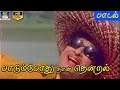 பாடும் போது நான் தென்றல் முழு பாடல் Paad