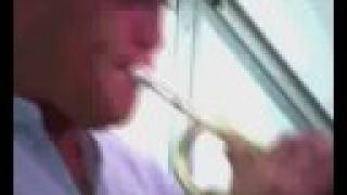 The Bees - 'A Minha Menina'. IOW Festival 2008 (b)