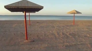 Ссылка