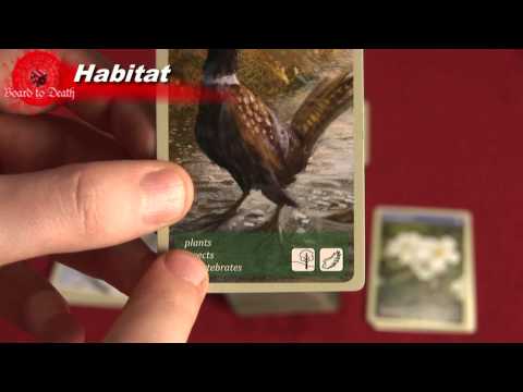 Habitat review by Board to Death Reviews