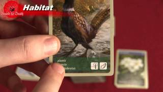 Habitat Card Game Review