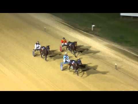 NEWCASTLE - 04/05/2016 - Race 1 - STANDING START [Trial]