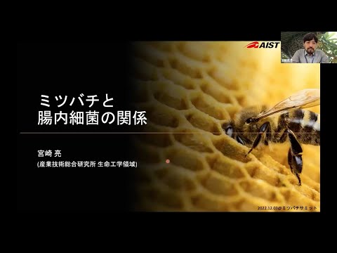 商学科 ミツバチと腸内細菌の関係