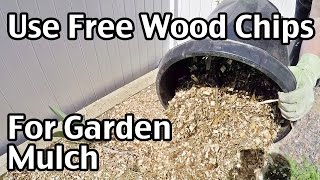 How To Use Free Wood Chips For Garden Mulch
