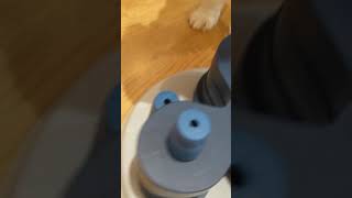 Trixie Flower Tower Level 3- figuring out the cones