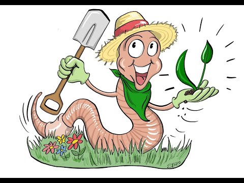 Wurm TV-Ankündigung