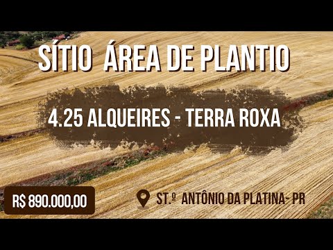 SÍTIO ÁREA DE PLANTIO- TERRA ROXA- PRODUTIVA - PARANÁ 