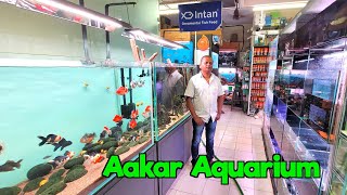 Huge Fish Stock at Aakar Aquarium Store I Delivery Available in Maharashtra