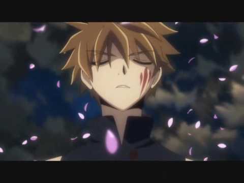 Tsubasa Chronicles Amv - Fireflight Unbreakable