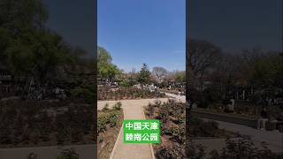 春暖花开,闲逛天津睦南公园 #天津 #春天 #中国 #中国城市 #中國 #tianjin #spring #china #chinacity #walking #park #chinatravel