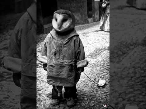 Jack Danz x Skott 3ree - Die Living