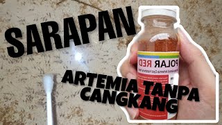 Download lagu CARA PAKAI ARTEMIA TANPA CANGKANG POLAR RED (BURAYAK UMUR 7 HARI) mp3 Download lagu CARA PAKAI ARTEMIA TANPA CANGKANG POLAR RED (BURAYAK UMUR 7 HARI) mp3