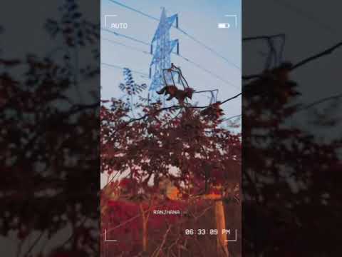 #traveler #traveltheworld #traveller #igtravel #travelingram #travelblog #traveladdict #travels