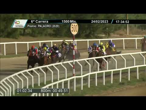 230224 c06 - TRAPECISTA - HIPODROMO LAS PIEDRAS