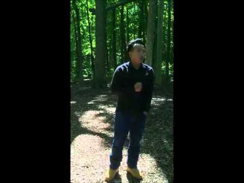 Kob Thoj Ntuj Txwv Kev Hlub  preview