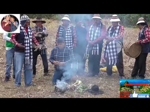 CARRERA DE CABALLOS  PERLA DE APURIMAC CUNA DE YAWAR FIESTA COYLLURQUI COTABAMBAS APURIMAC  2019