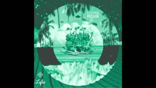 Living Hour - Seagull