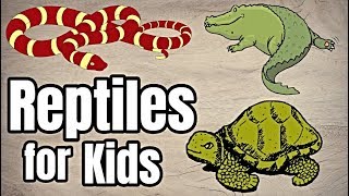 Reptiles For Kids